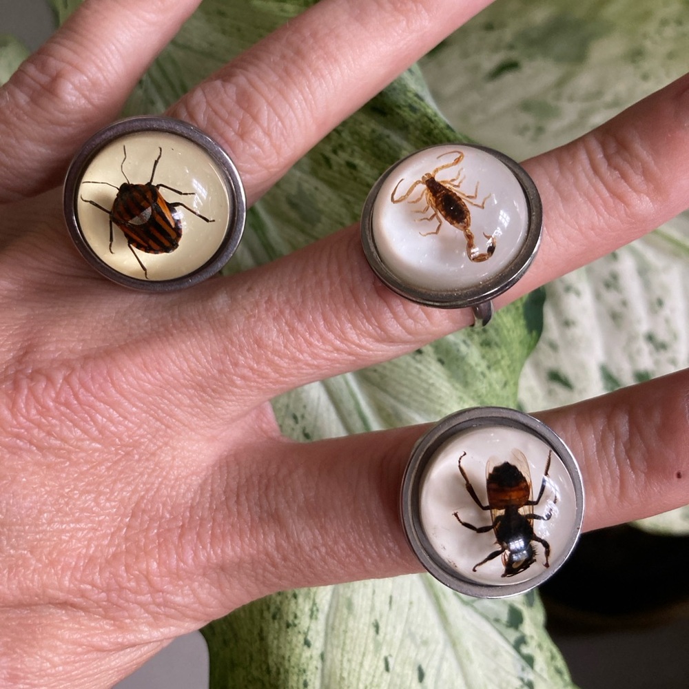 Stripe Beetle Scorpion Bee Ring Stainless Steel Adjustable Halloween Entomology